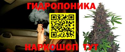а пвп мука Владимир