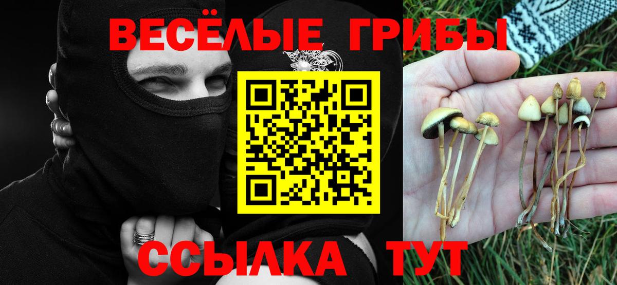 Галлюциногенные грибы GOLDEN TEACHER  Вход с VPN  Корсаков 
